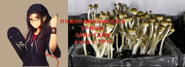 шишки Алексеевка